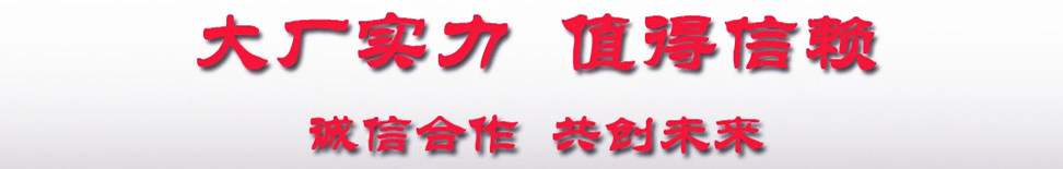 實力大廠